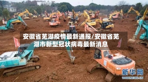 安徽省芜湖疫情最新通报/安徽省芜湖市新型冠状病毒最新消息-第1张图片