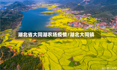 湖北省大同湖农场疫情/湖北大同镇-第1张图片