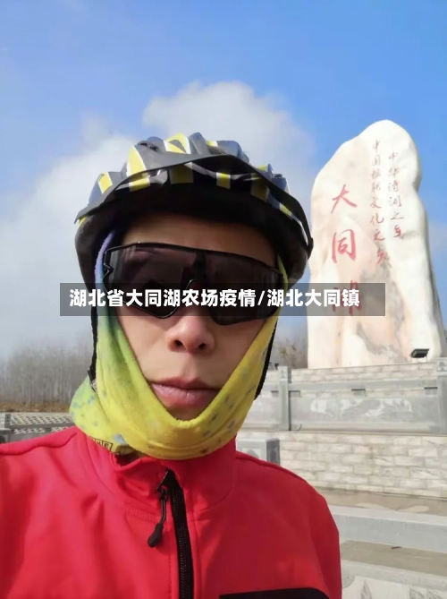 湖北省大同湖农场疫情/湖北大同镇-第2张图片