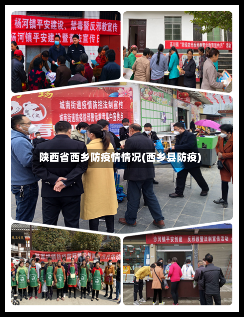 陕西省西乡防疫情情况(西乡县防疫)-第2张图片