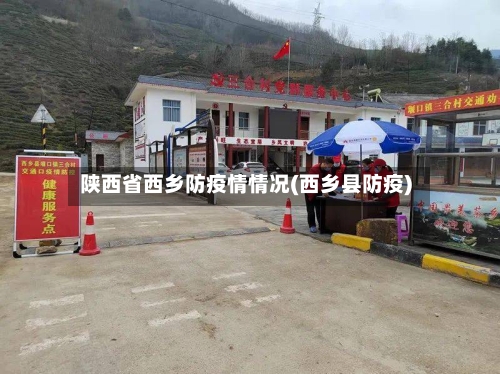 陕西省西乡防疫情情况(西乡县防疫)-第3张图片