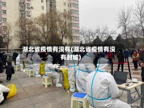 湖北省疫情有没有(湖北省疫情有没有封城)-第1张图片