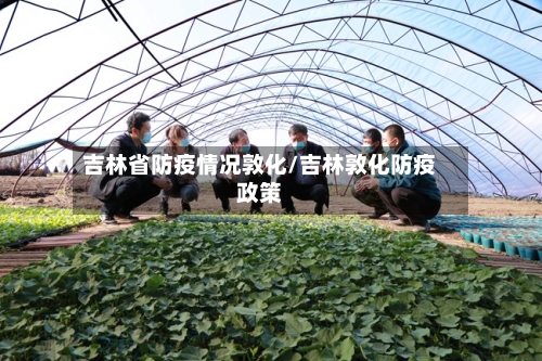 吉林省防疫情况敦化/吉林敦化防疫政策-第1张图片