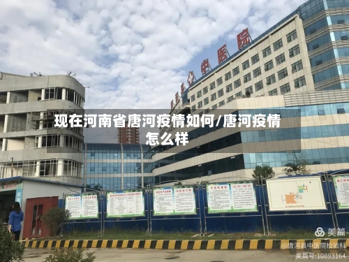 现在河南省唐河疫情如何/唐河疫情怎么样-第2张图片