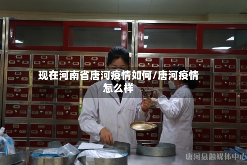 现在河南省唐河疫情如何/唐河疫情怎么样-第1张图片