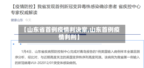 【山东省首例疫情判决案,山东首例疫情判刑】-第1张图片