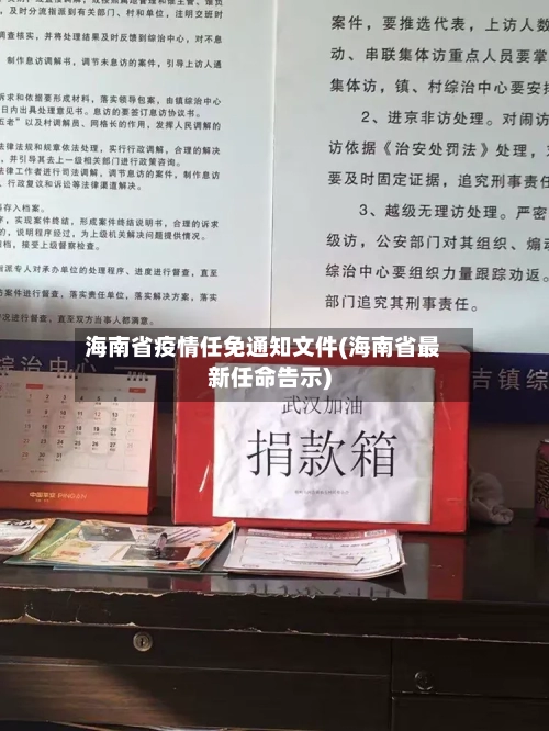 海南省疫情任免通知文件(海南省最新任命告示)-第1张图片