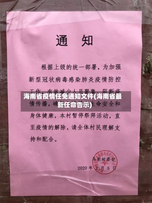 海南省疫情任免通知文件(海南省最新任命告示)-第3张图片