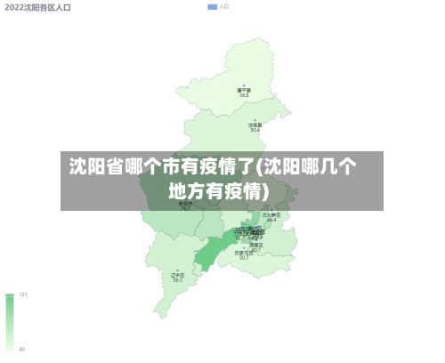 沈阳省哪个市有疫情了(沈阳哪几个地方有疫情)-第1张图片