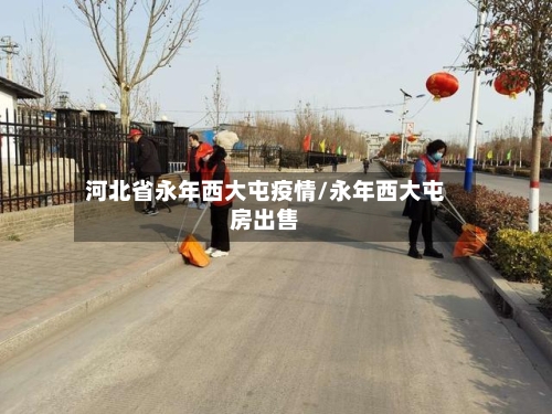 河北省永年西大屯疫情/永年西大屯房出售-第3张图片