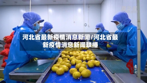 河北省最新疫情消息新闻/河北省最新疫情消息新闻联播-第2张图片
