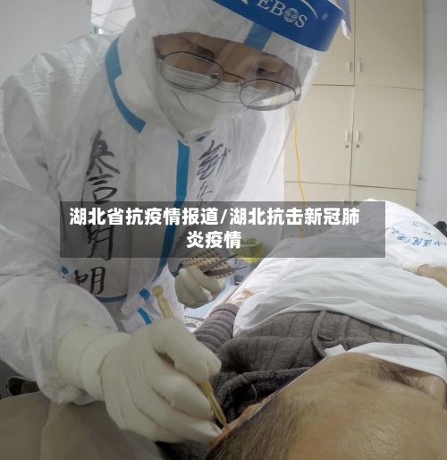 湖北省抗疫情报道/湖北抗击新冠肺炎疫情-第2张图片