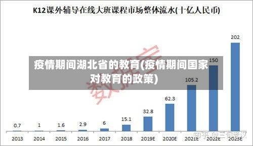 疫情期间湖北省的教育(疫情期间国家对教育的政策)-第1张图片