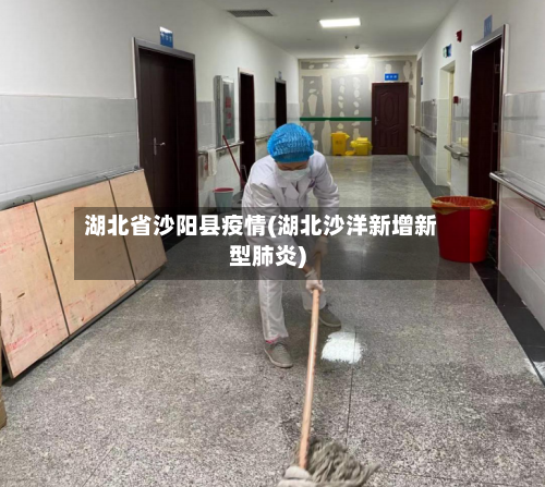 湖北省沙阳县疫情(湖北沙洋新增新型肺炎)-第1张图片