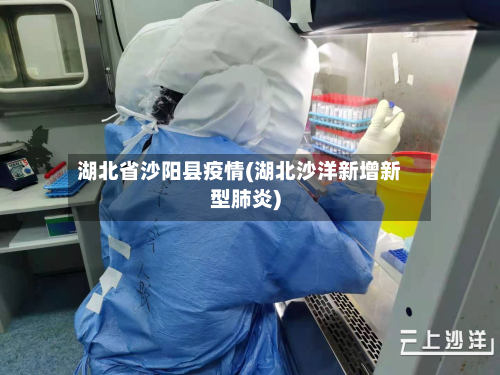 湖北省沙阳县疫情(湖北沙洋新增新型肺炎)-第2张图片