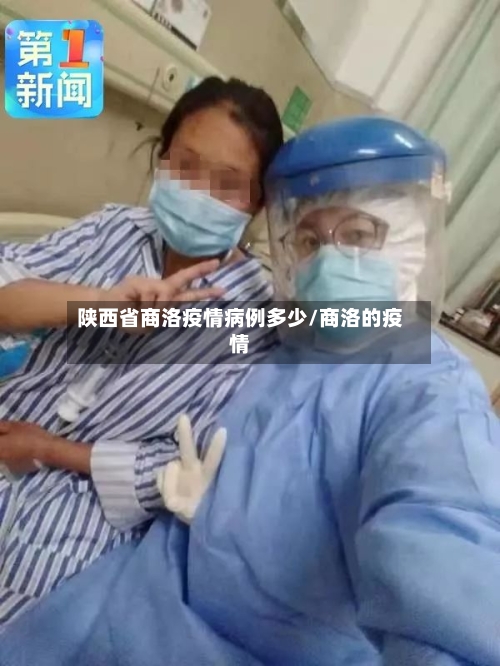 陕西省商洛疫情病例多少/商洛的疫情-第1张图片