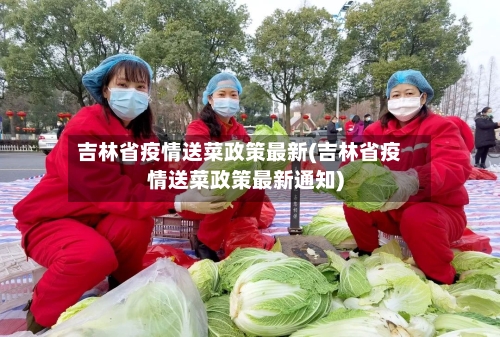 吉林省疫情送菜政策最新(吉林省疫情送菜政策最新通知)-第2张图片