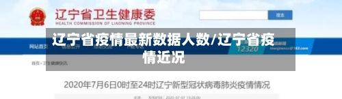 辽宁省疫情最新数据人数/辽宁省疫情近况-第3张图片