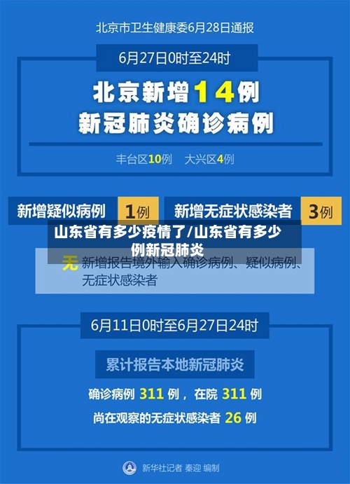 山东省有多少疫情了/山东省有多少例新冠肺炎-第1张图片