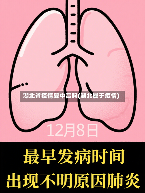 湖北省疫情算中高吗(湖北属于疫情)-第1张图片