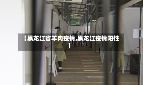 【黑龙江省羊肉疫情,黑龙江疫情阳性】-第1张图片