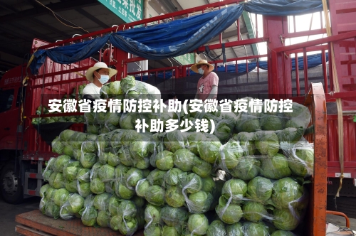 安徽省疫情防控补助(安徽省疫情防控补助多少钱)-第1张图片