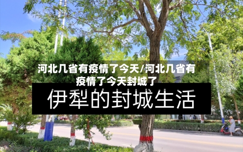 河北几省有疫情了今天/河北几省有疫情了今天封城了-第2张图片