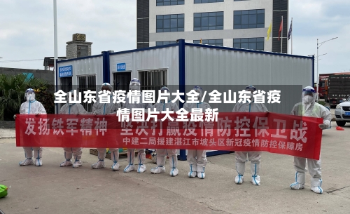 全山东省疫情图片大全/全山东省疫情图片大全最新-第3张图片