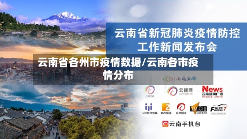 云南省各州市疫情数据/云南各市疫情分布-第1张图片