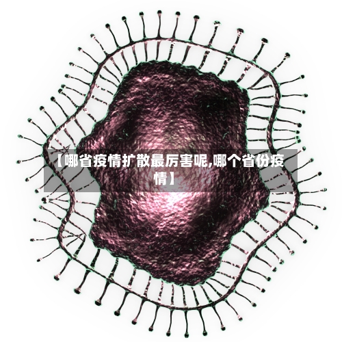 【哪省疫情扩散最厉害呢,哪个省份疫情】-第1张图片
