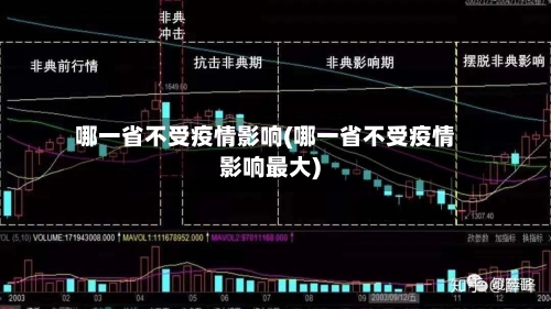 哪一省不受疫情影响(哪一省不受疫情影响最大)-第2张图片