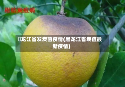 黒龙江省发炭菌疫情(黑龙江省炭疽最新疫情)-第1张图片