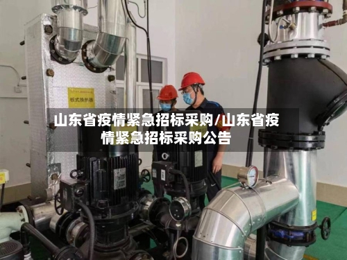 山东省疫情紧急招标采购/山东省疫情紧急招标采购公告-第3张图片