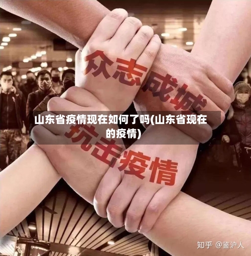 山东省疫情现在如何了吗(山东省现在的疫情)-第3张图片