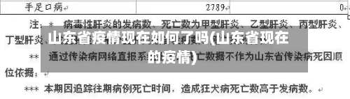 山东省疫情现在如何了吗(山东省现在的疫情)-第2张图片