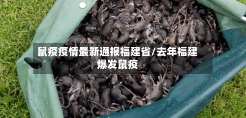 鼠疫疫情最新通报福建省/去年福建爆发鼠疫-第2张图片