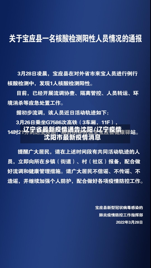 辽宁省最新疫情通告沈阳/辽宁疫情沈阳市最新疫情消息-第3张图片