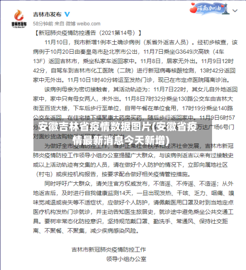 安徽吉林省疫情数据图片(安徽省疫情最新消息今天新增)-第1张图片