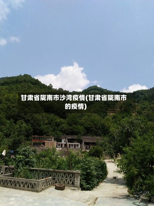 甘肃省陇南市沙湾疫情(甘肃省陇南市的疫情)-第1张图片