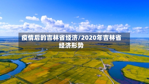 疫情后的吉林省经济/2020年吉林省经济形势-第3张图片
