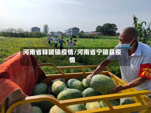 河南省秣陵镇疫情/河南省宁陵县疫情-第1张图片