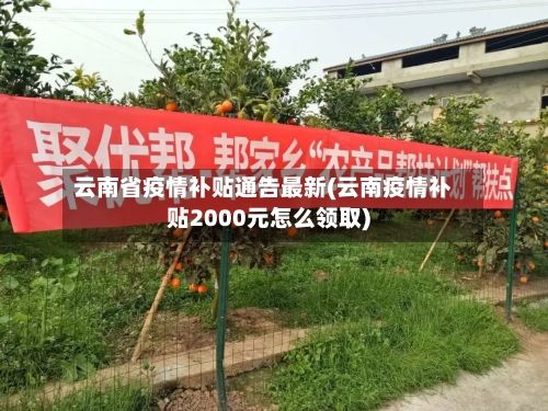 云南省疫情补贴通告最新(云南疫情补贴2000元怎么领取)-第1张图片