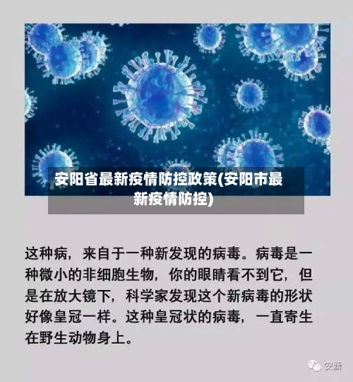 安阳省最新疫情防控政策(安阳市最新疫情防控)-第2张图片
