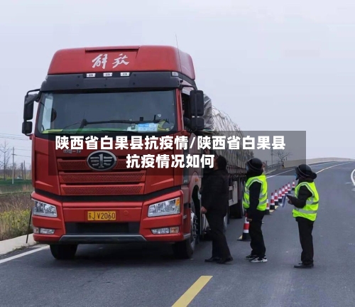 陕西省白果县抗疫情/陕西省白果县抗疫情况如何-第1张图片