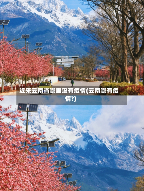 近来云南省哪里没有疫情(云南哪有疫情?)-第2张图片