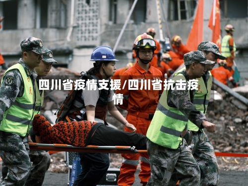 四川省疫情支援/四川省抗击疫情-第3张图片