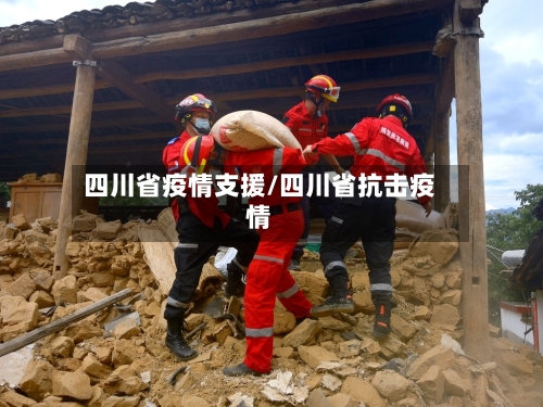 四川省疫情支援/四川省抗击疫情-第2张图片