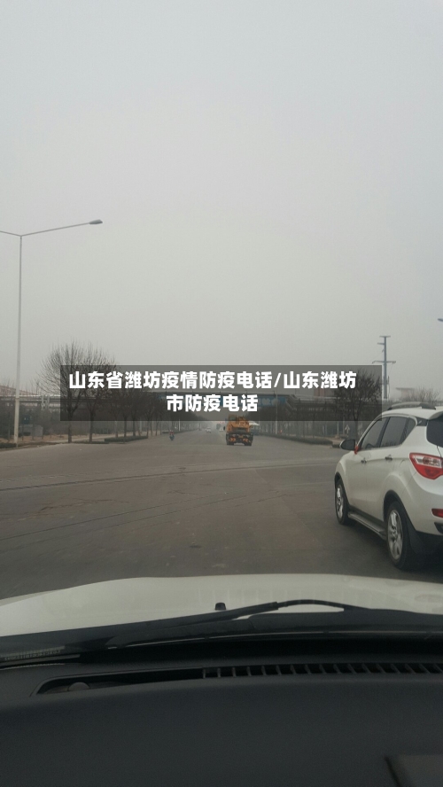 山东省潍坊疫情防疫电话/山东潍坊市防疫电话-第1张图片
