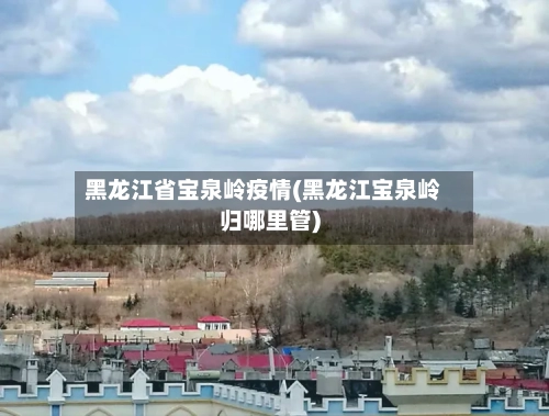 黑龙江省宝泉岭疫情(黑龙江宝泉岭归哪里管)-第1张图片