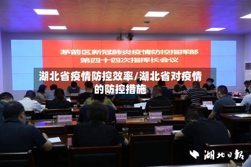 湖北省疫情防控效率/湖北省对疫情的防控措施-第2张图片